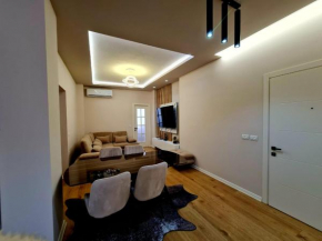 DION Apt